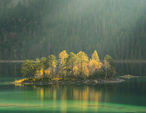 Offerings services 03